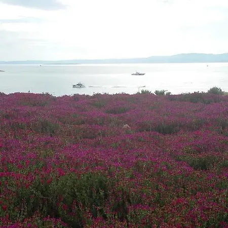 Sato Design (adults Only) מלון 2*