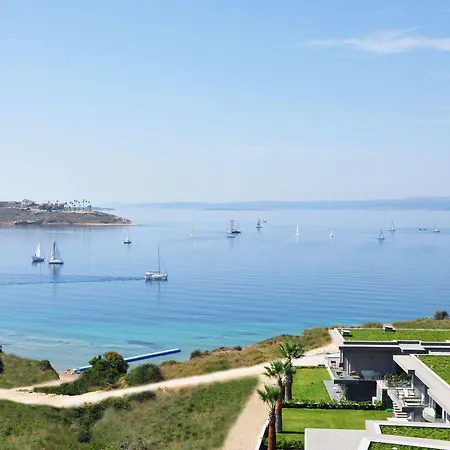 Sato Design (adults Only) 2*