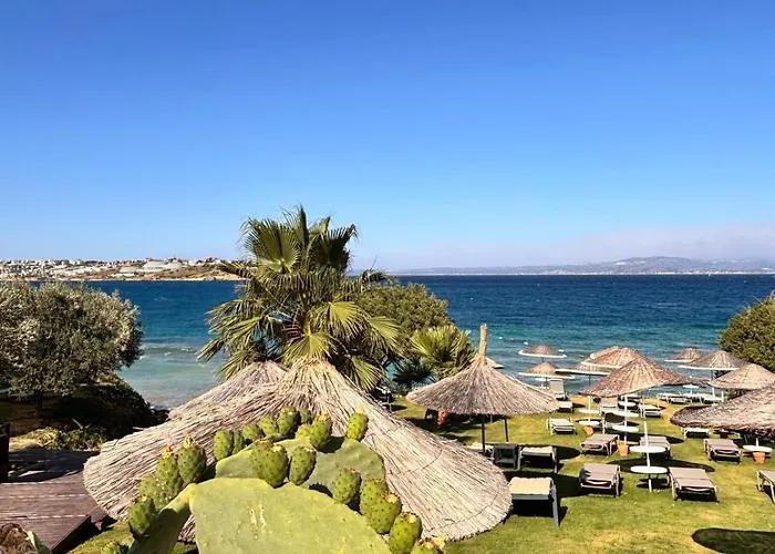 Hotel Sato Design (adults Only)