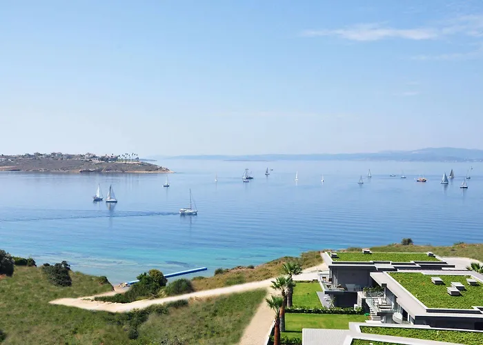 Sato Design (adults Only) 2*