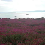 Sato Design (adults Only) Ξενοδοχείο 2*