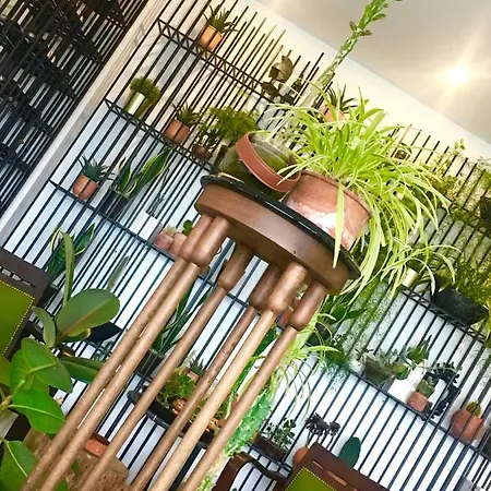 萨托设计酒店 酒店