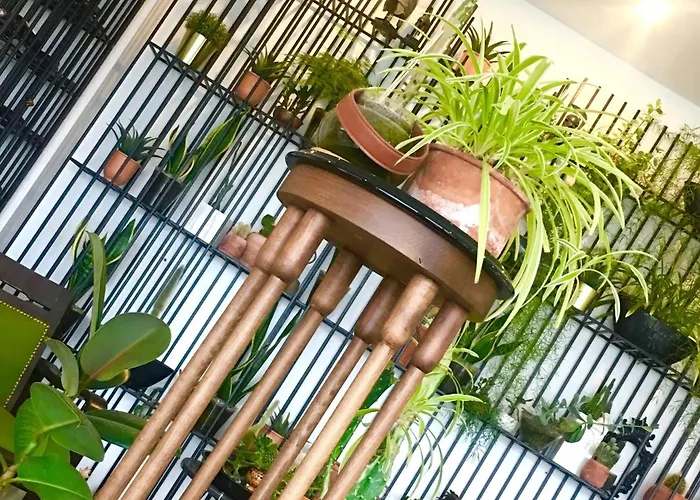 Sato Design (adults Only) 2*