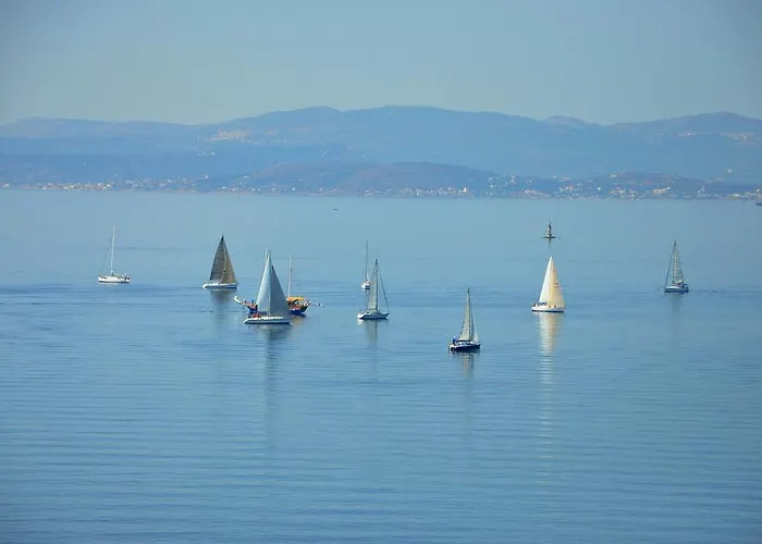 Sato Design (adults Only)