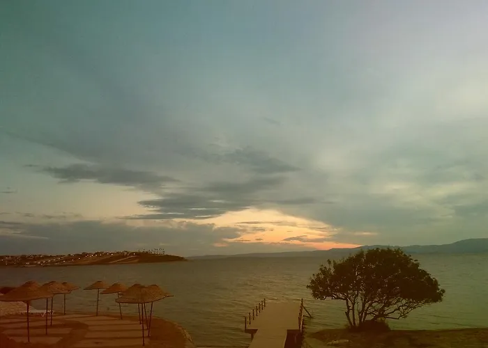 Sato Design (adults Only) Cesme