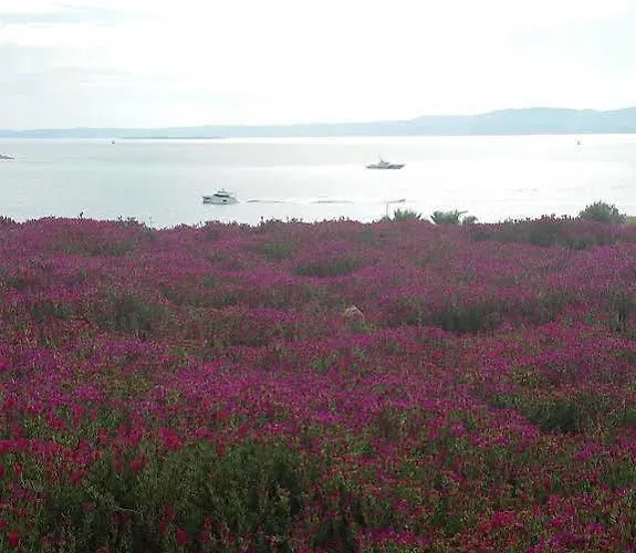 Sato Design (adults Only) Hotel 2*